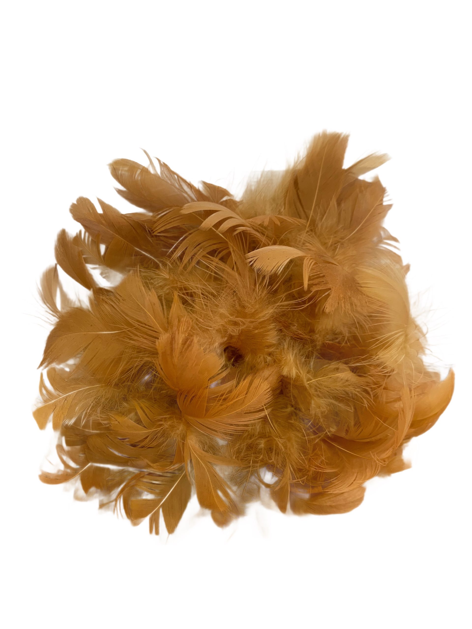 Accesorio Plumas Oca Raspada